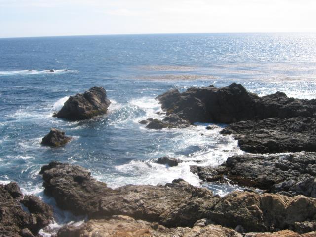 2004/06 June/Monterey Big Sur/640x480_IMG_0895.JPG